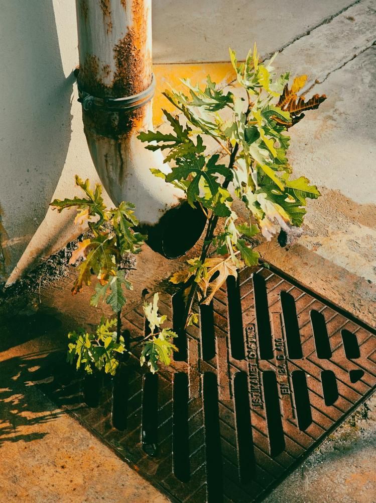 Экологичные решения: настилы и их вклад в устойчивое развитие